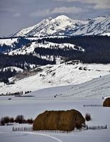 Dell Creek Scenery. Photo by Dave Bell.