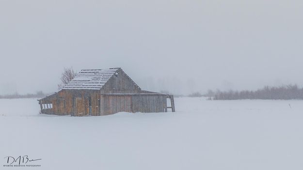 Snowy Day. Photo by Dave Bell.