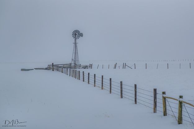 White Solitude. Photo by Dave Bell.