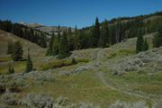 Single Track To Deadman. Photo by Dave Bell.