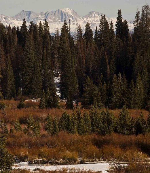 Fremont Peak From Horse Creek. Photo by Dave Bell.