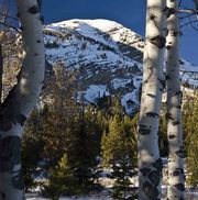 Aspen Framed Mt. McDougal. Photo by Dave Bell.