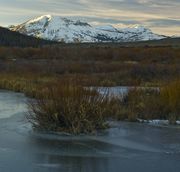 Frozen North Cottonwood Creek. Photo by Dave Bell.