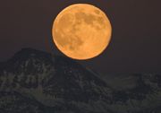 Huge Thanksgivin Moon Dwarfs 13,517' Jackson Peak. Photo by Dave Bell.