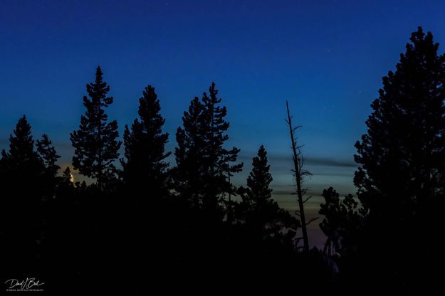 Setting and Silhouette. Photo by Dave Bell.