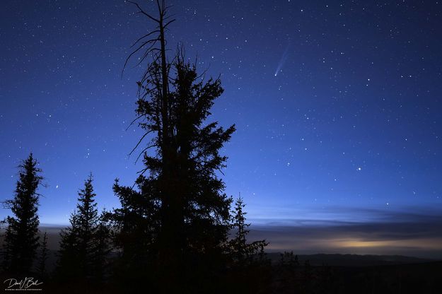 Silhouette. Photo by Dave Bell.