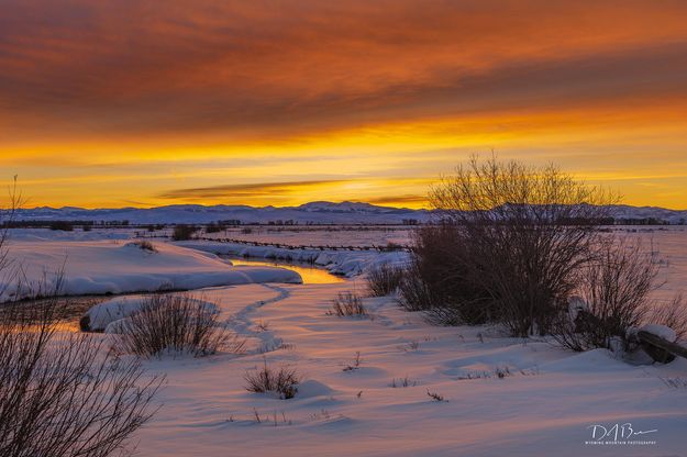 Color. Photo by Dave Bell.