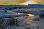 Sunset Gold. Photo by Dave Bell.