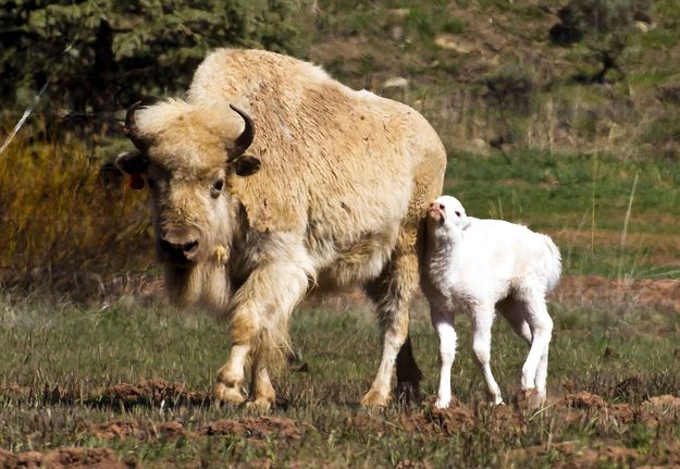 This Is My Mom!. Photo by Dave Bell.