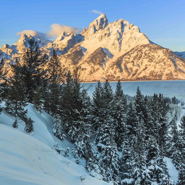 Grand Teton Morning Light. Photo by Dave Bell.