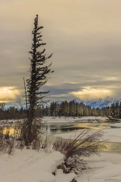 Snake River . Photo by Dave Bell.