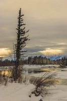 Snake River . Photo by Dave Bell.