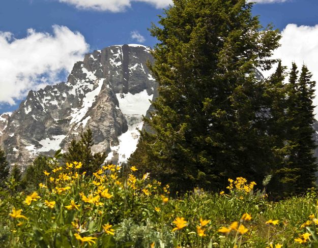 Moran Scenery. Photo by Dave Bell.