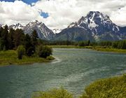 Oxbow Beauty. Photo by Dave Bell.