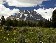 Mt. Moran. Photo by Dave Bell.