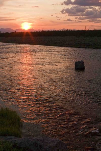 Madison River Sunburst. Photo by Dave Bell.