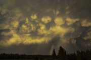 Cloud To Ground. Photo by Dave Bell.