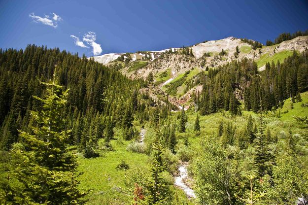 Kilgore Creek Rushing Below Shoulder Of Hoback Peak. Photo by Dave Bell.