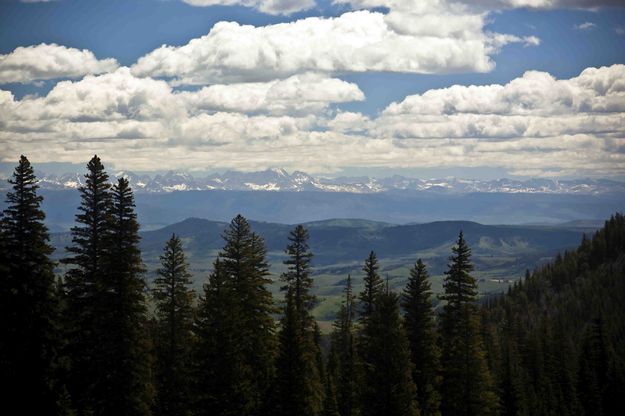 View Across Upper Green River Basin. Photo by Dave Bell.