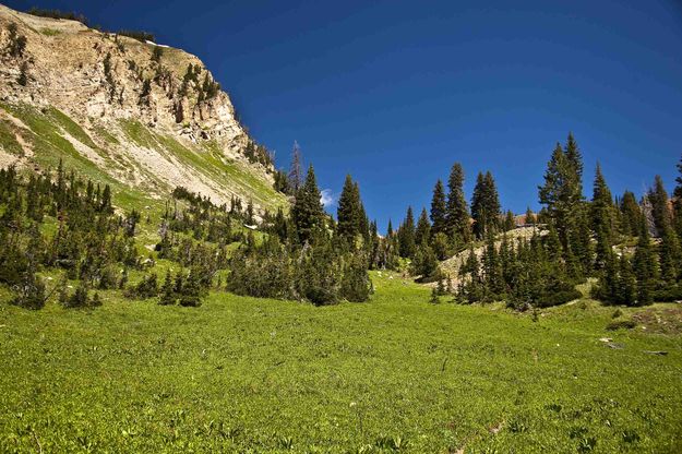 Kilgore Pass. Photo by Dave Bell.