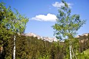 Lower Kilgore Trail Scenery. Photo by Dave Bell.