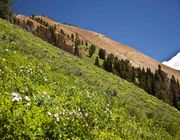 Kilgore Creek Terrain. Photo by Dave Bell.