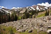 Alpine Scenery. Photo by Dave Bell.