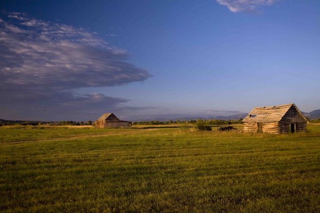 Early Moning Light. Photo by Dave Bell.