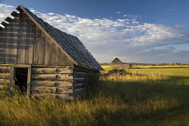 Morning Light. Photo by Dave Bell.