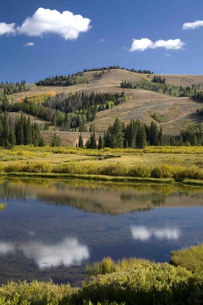 Reflecting Pond. Photo by Dave Bell.