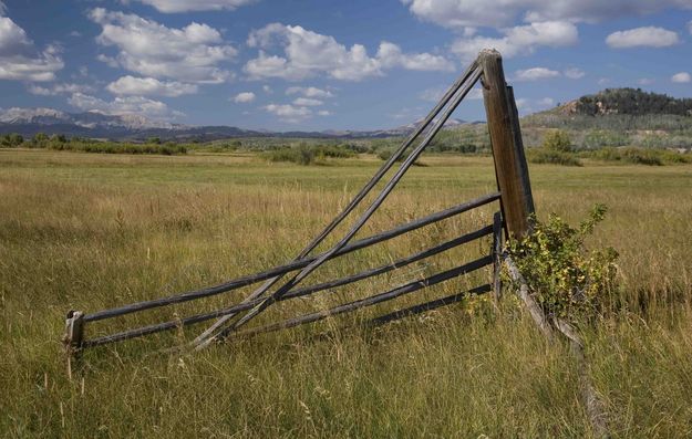 Old Gate. Photo by Dave Bell.