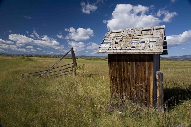 Days Gone Bye. Photo by Dave Bell.