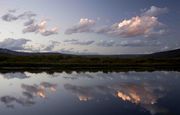 Reflection In The Green. Photo by Dave Bell.