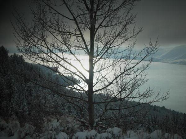 Winter at Fremont Lake. Photo by Dave Bell.