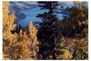 Fall Scene from Glimpse lake. Photo by Dave Bell.