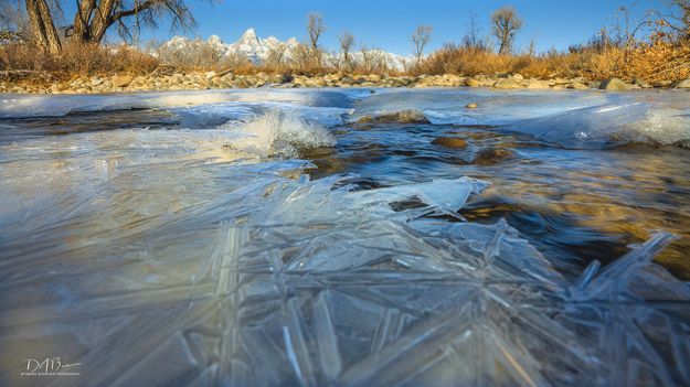 Intricate Patterns. Photo by Dave Bell.