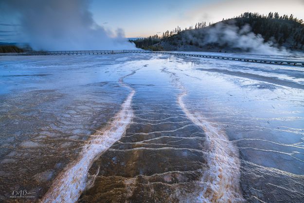 Meandering Microbes. Photo by Dave Bell.