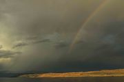 Stormy Rainbow. Photo by Dave Bell.