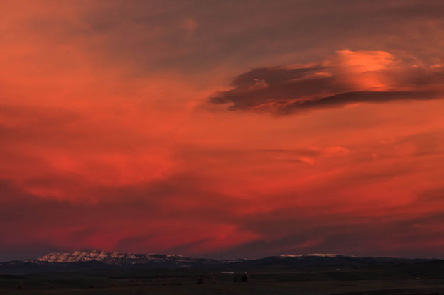 Nicely Lit Morning. Photo by Dave Bell.