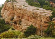 Red Canyon Strata. Photo by Dave Bell.