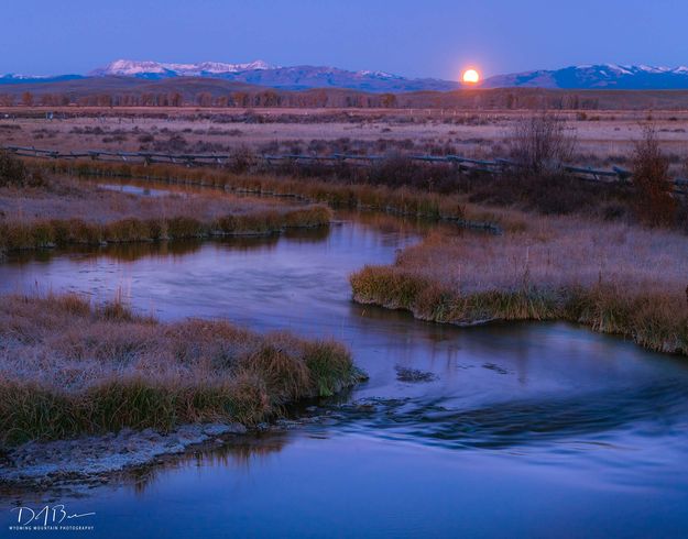 Setting Moon. Photo by Dave Bell.