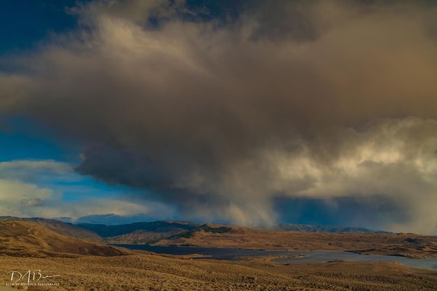 Snow Squall. Photo by Dave Bell.