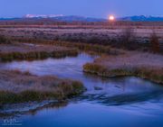 Setting Moon. Photo by Dave Bell.