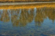 Beautiful Green River. Photo by Dave Bell.