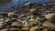 Newly Forming Ice. Photo by Dave Bell.