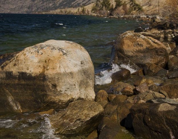 Rocky Shoreline. Photo by Dave Bell.