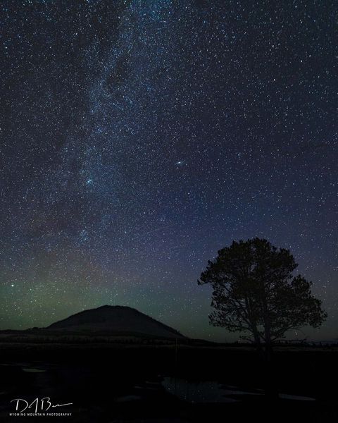 Lone Pine And Mt. Everts With A Hint Of Aurora. Photo by Dave Bell.