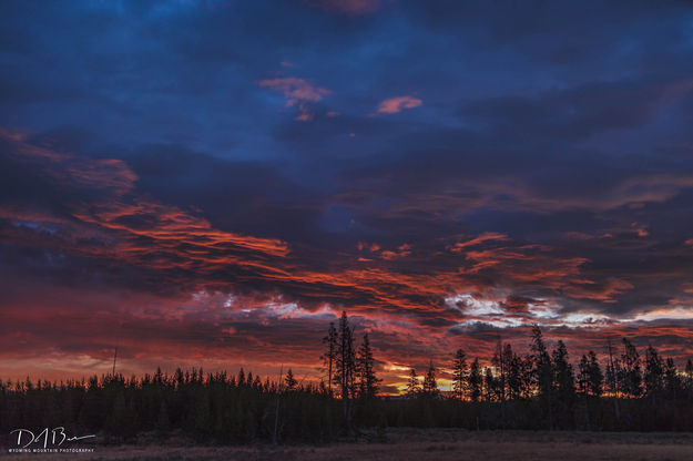 Swan Lake Flats Sunrise. Photo by Dave Bell.