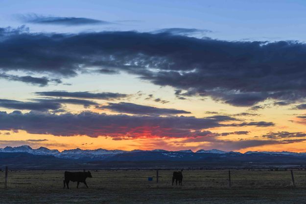 Morning Excellence. Photo by Dave Bell.