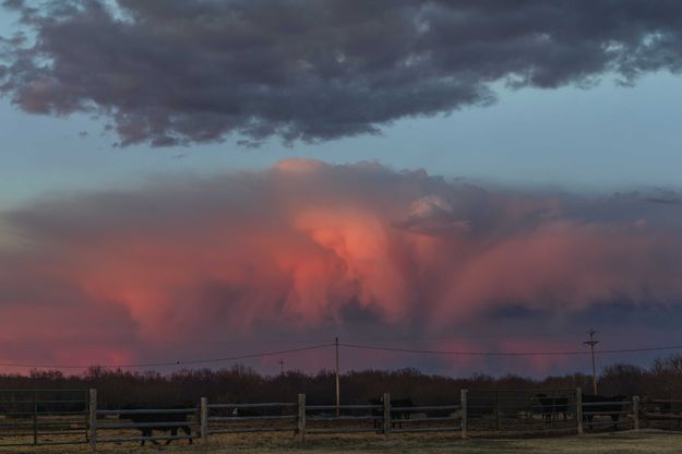Morning Virga. Photo by Dave Bell.